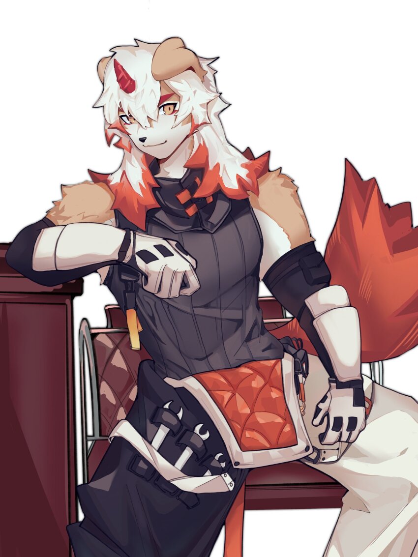 Hung (Arknights) Rule 34 Image