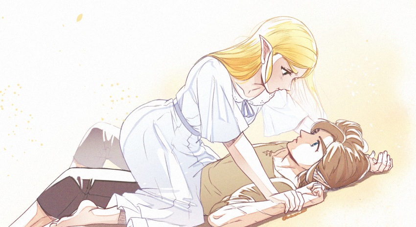 Link (Nintendo) Rule 34 Image