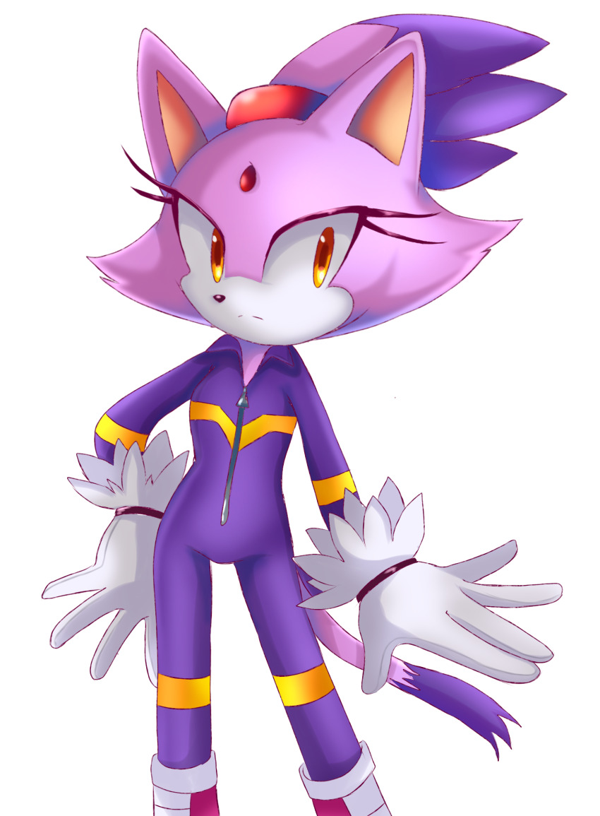 Blaze The Cat (Sonic (Series)) Rule 34 Image