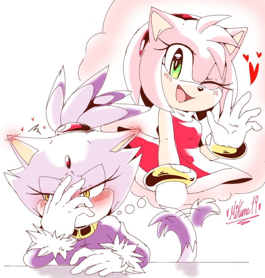 Amy Rose (Sonic (Series)) Rule 34 Image