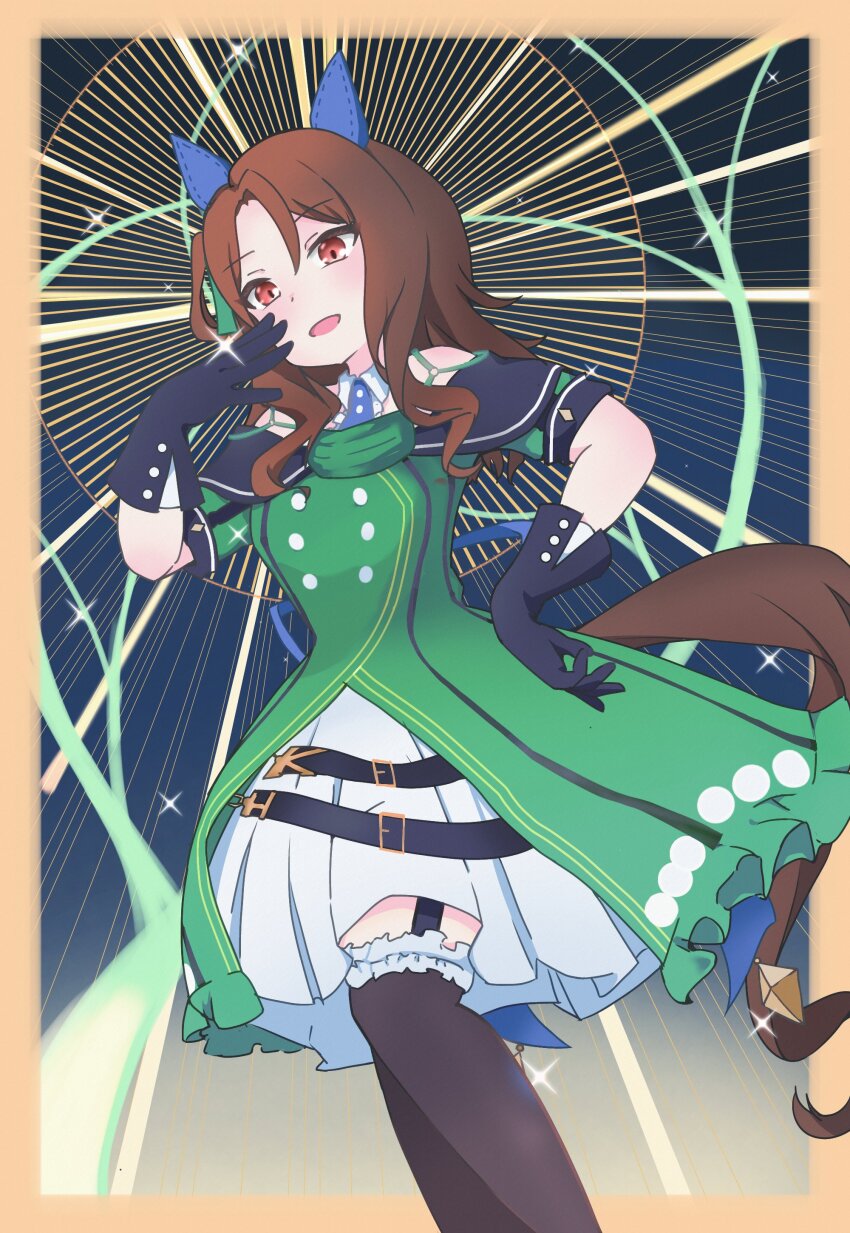 King Halo (Umamusume) Rule 34 Image