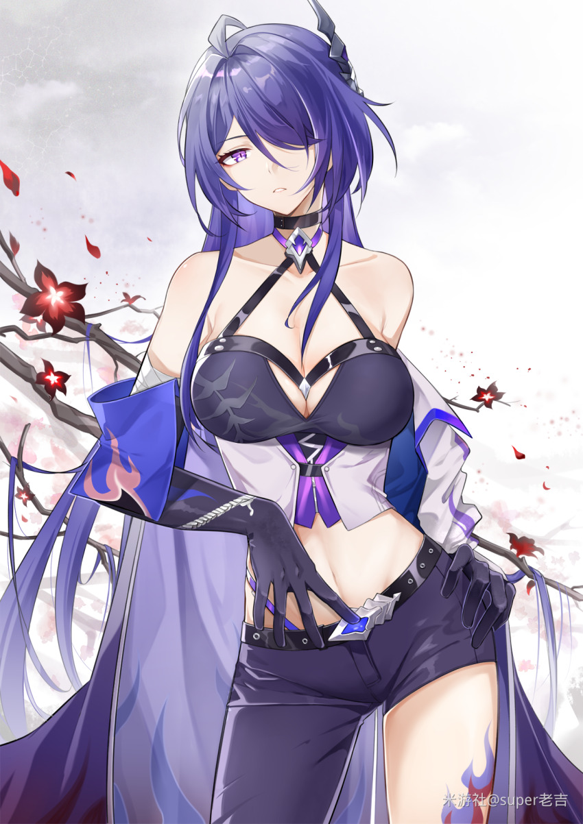 Acheron (Honkai: Star Rail) Rule 34 Image