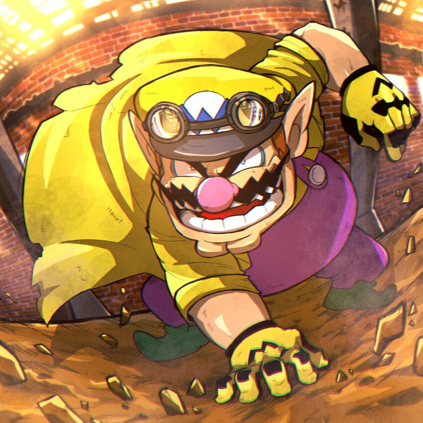 Wario (Mario (Series)) Rule 34 Image