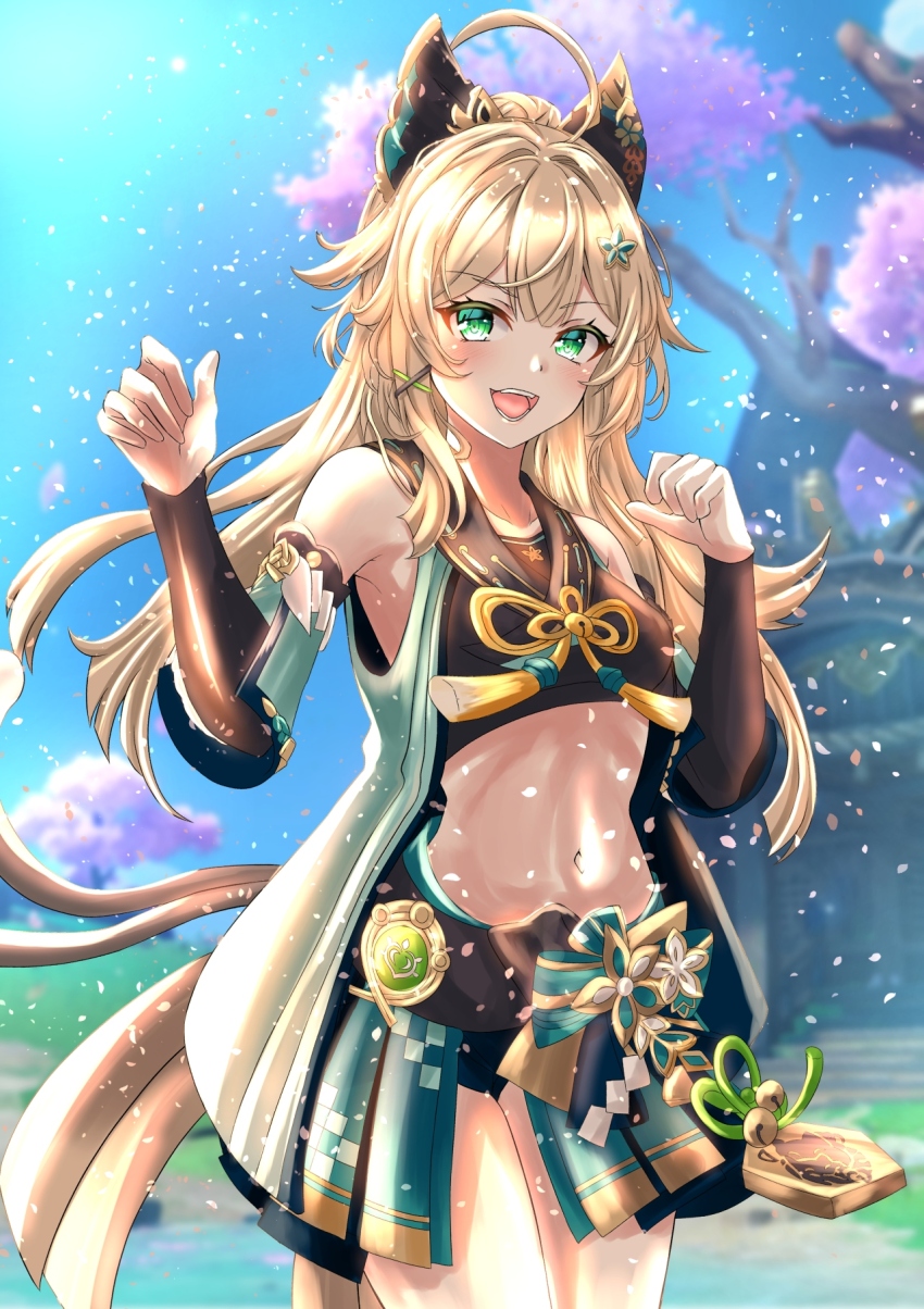 Kirara (Genshin Impact) Rule 34 Image