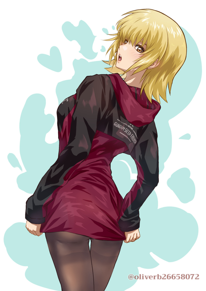 Cagalli Yula Athha (Gundam) Rule 34 Image