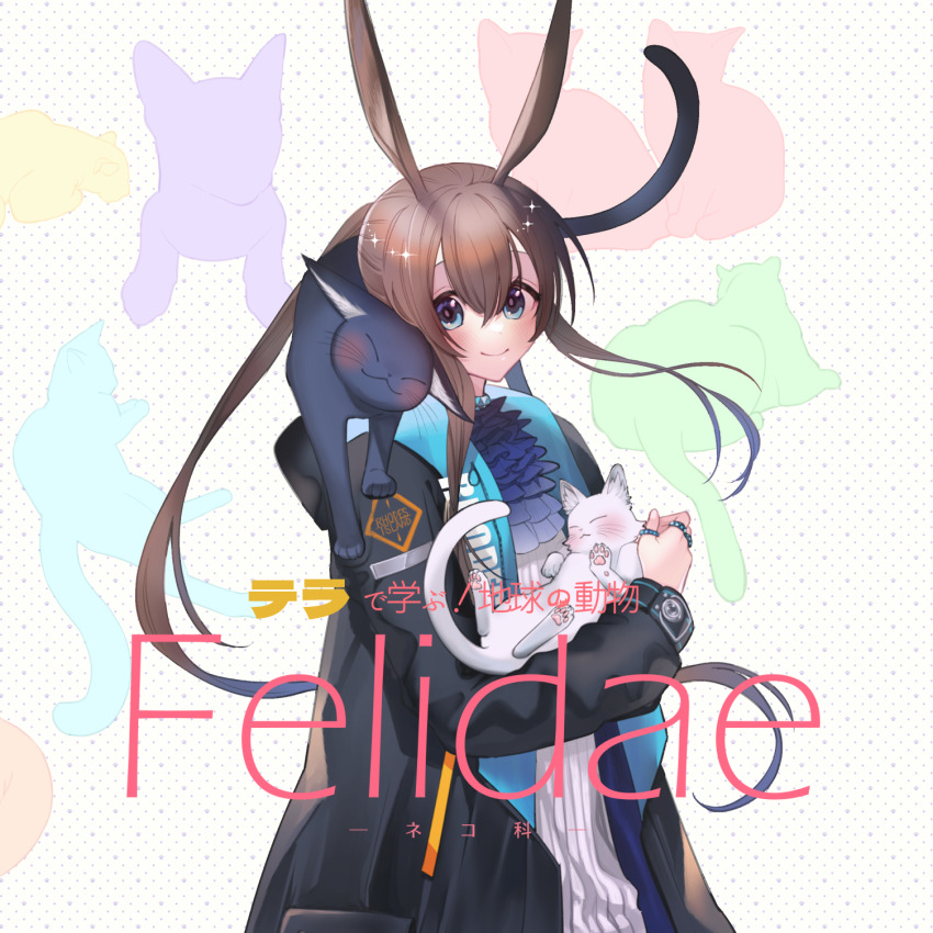 Amiya (Arknights) Rule 34 Image