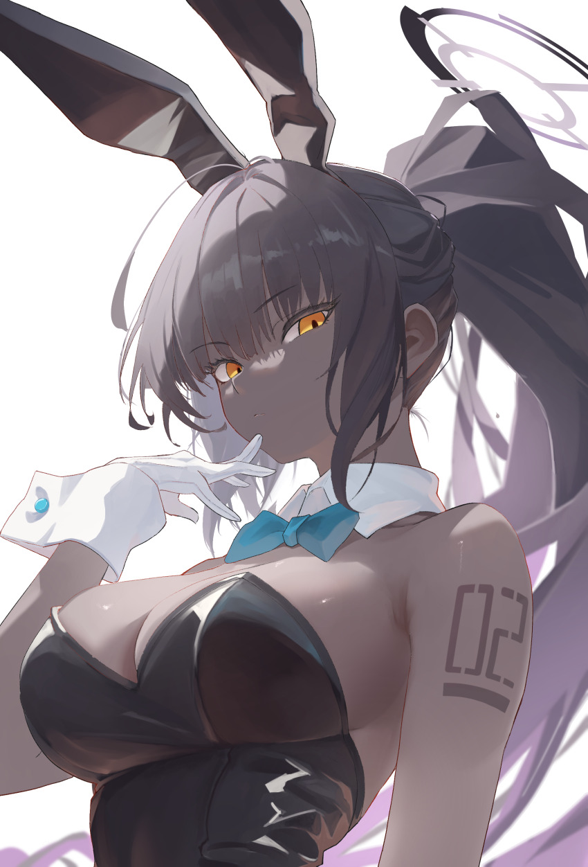 Karin (Blue Archive) Rule 34 Image