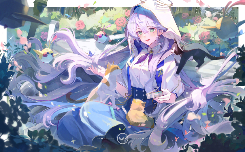 Robin (Honkai: Star Rail) Rule 34 Image