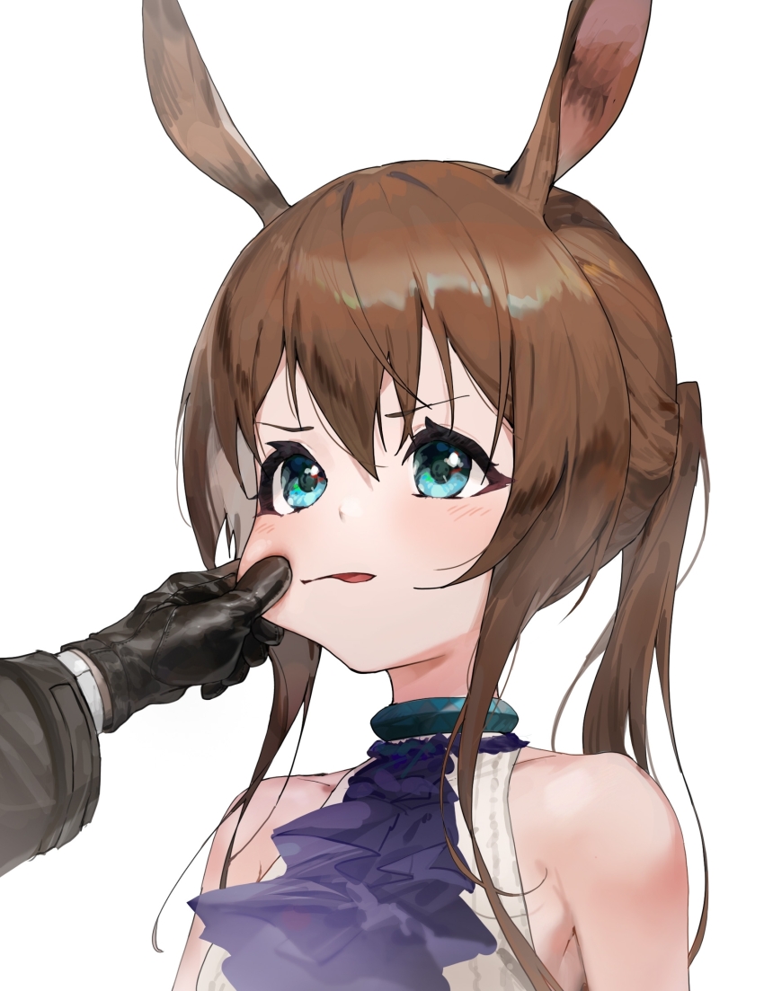 Amiya (Arknights) Rule 34 Image